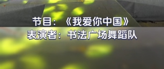 节目16——我爱你中国